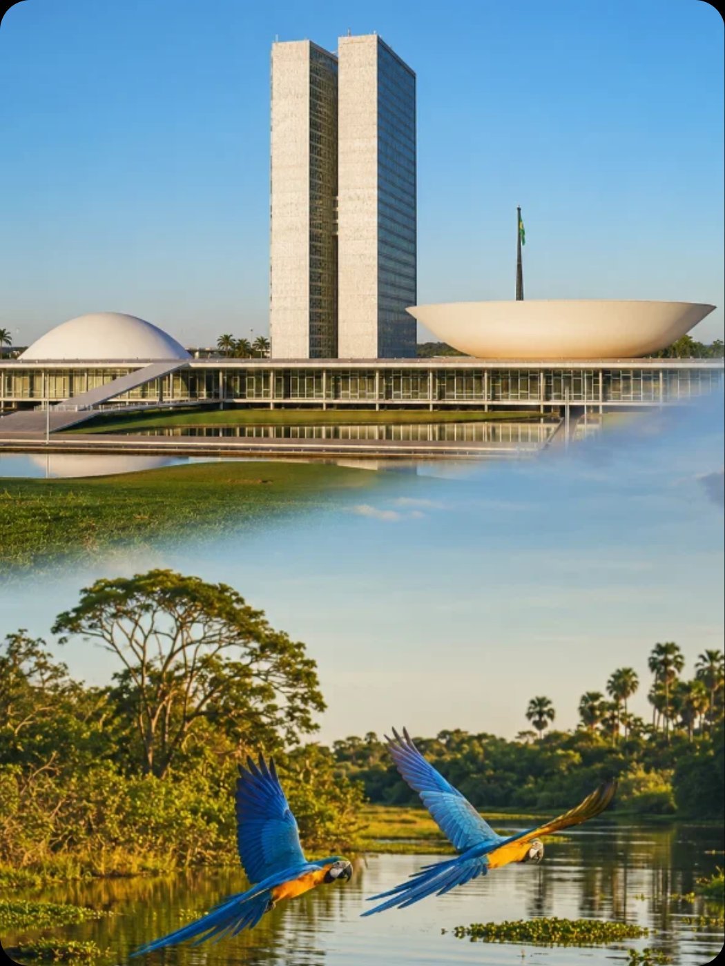 Congresso Nacional e o Pantanal